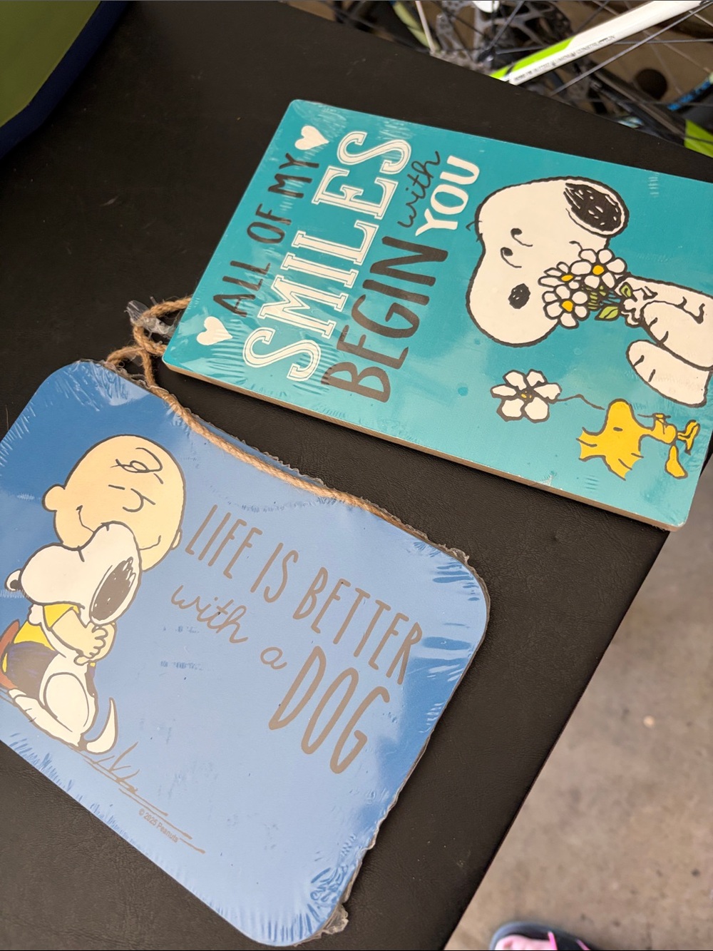 Open Road Brands Peanuts Snoopy Wall Signs in Blue and Teal